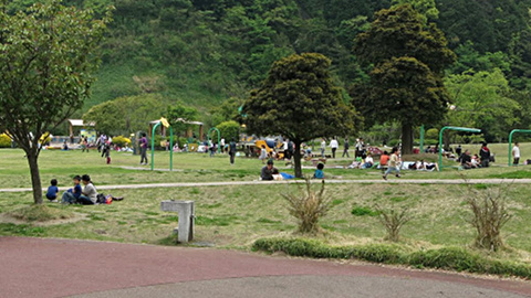 佐野植物公園１