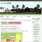 スマートフォン用のWordPressのテーマはどうしよう？