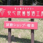 ぶどう狩りのあとは、ワイナリーの安心院葡萄酒工房に行きました。