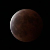 ３年ぶりの皆既月食の日でした。次回は来年（２０１５年）の４月のようですよ。